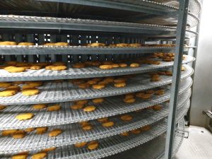 5004-Samifi-spiral-freezer-8