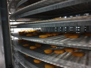 5004-Samifi-spiral-freezer-9