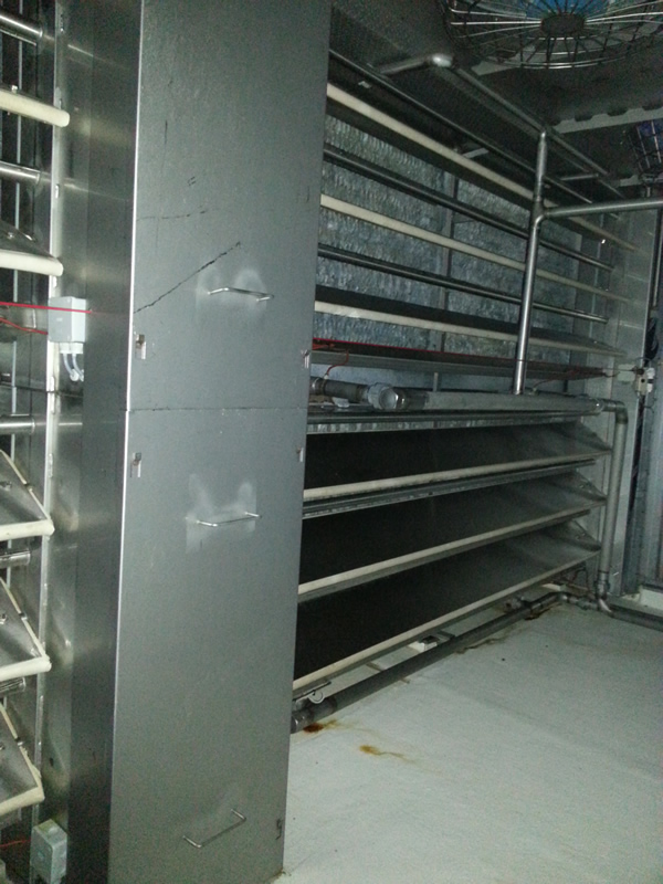 5005 Ferguson IQF freezer (10)