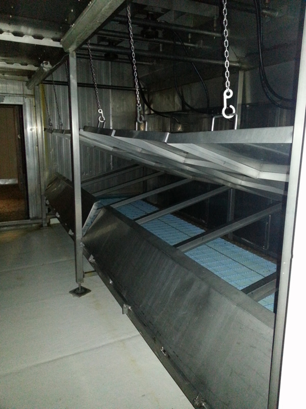 5005 Ferguson IQF freezer (12)