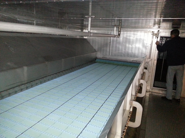 5005 Ferguson IQF freezer (2)
