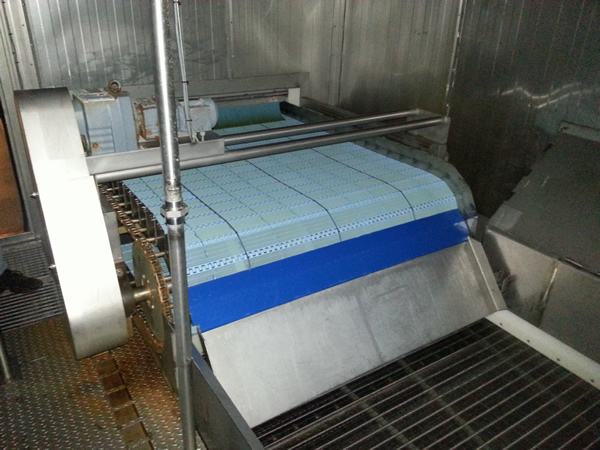 5005 Ferguson IQF freezer (3)