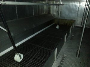 5005 Ferguson IQF freezer (4)