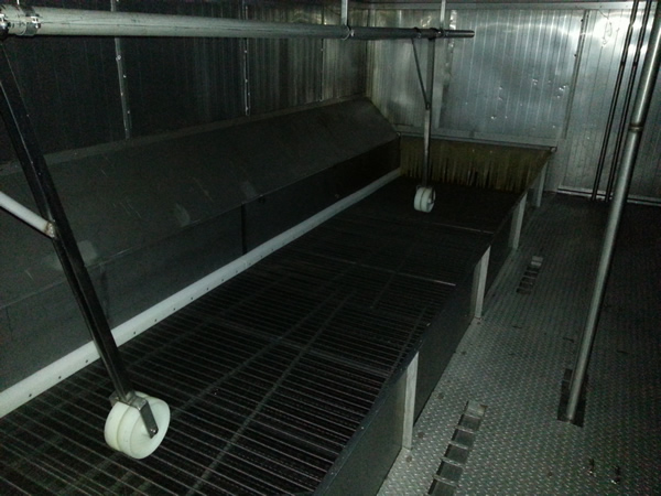 5005 Ferguson IQF freezer (4)