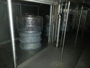5005 Ferguson IQF freezer (5)