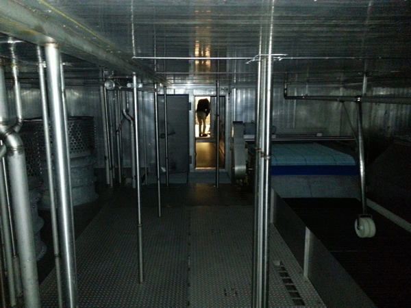 5005 Ferguson IQF freezer (6)