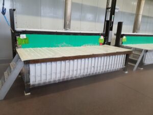 5009 Jackstone plate freezer (1)