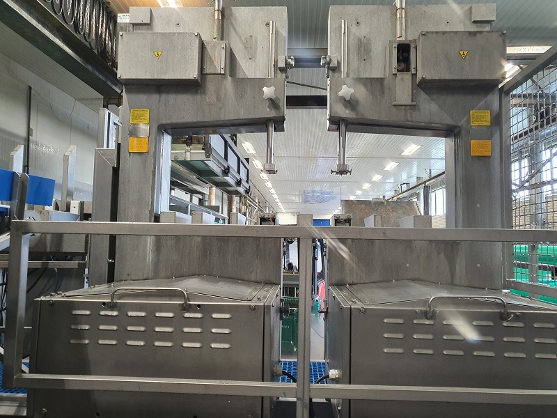 5009 Jackstone plate freezer (11)