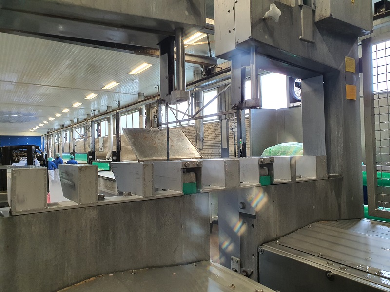 5009 Jackstone plate freezer (12)